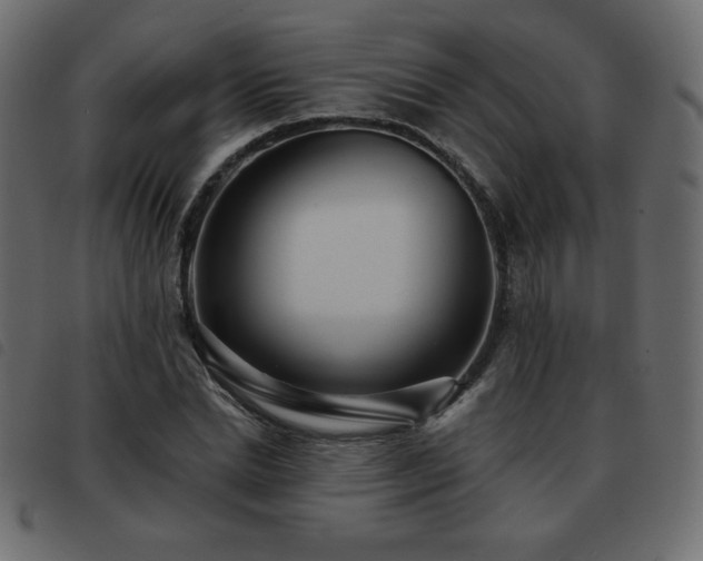 X0000093580830200710151143