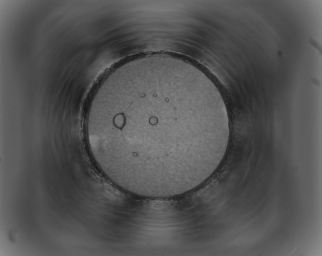 X0000093580832200710151143