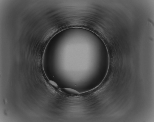 X0000093580833200710151143