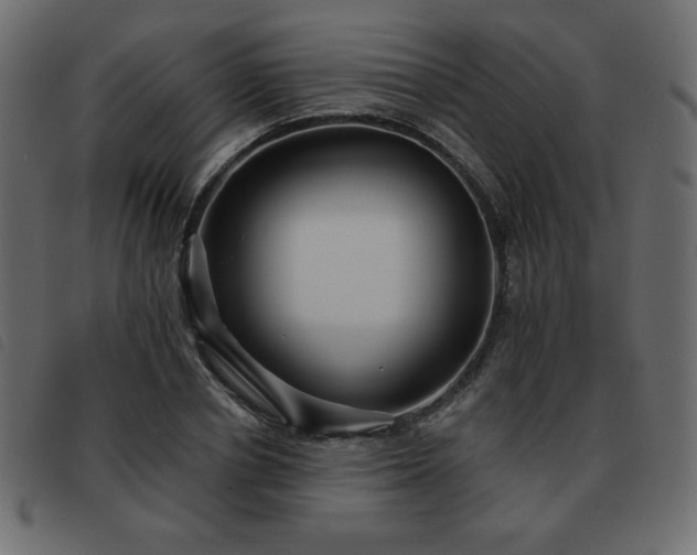 X0000093580834200710151143
