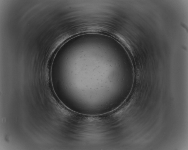 X0000093580835200710151143
