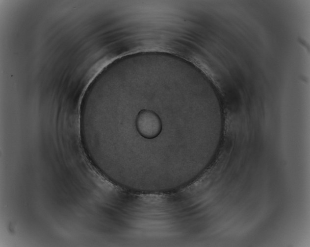 X0000093580836200710151143
