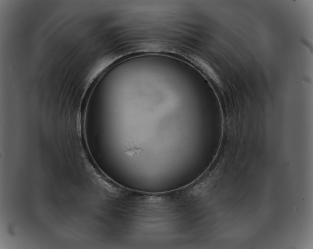 X0000093580839200710151143