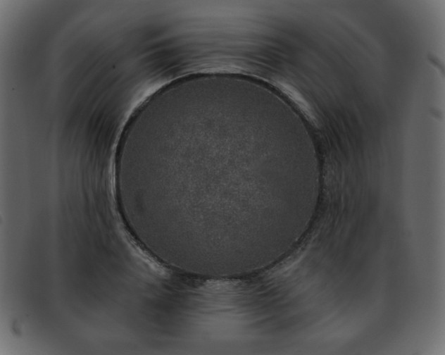 X0000093580840200710151143