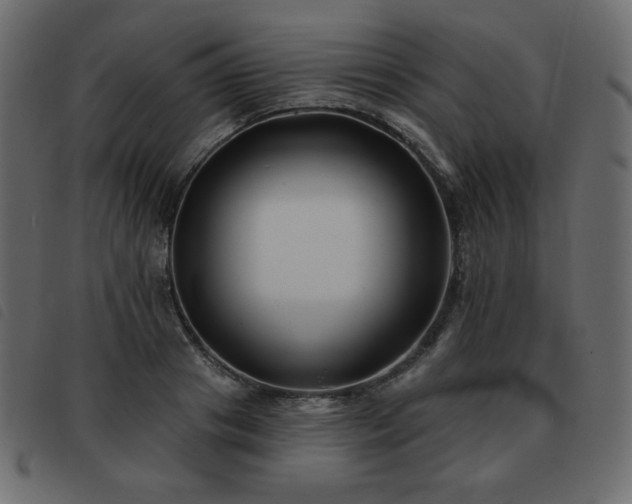 X0000093580841200710151143