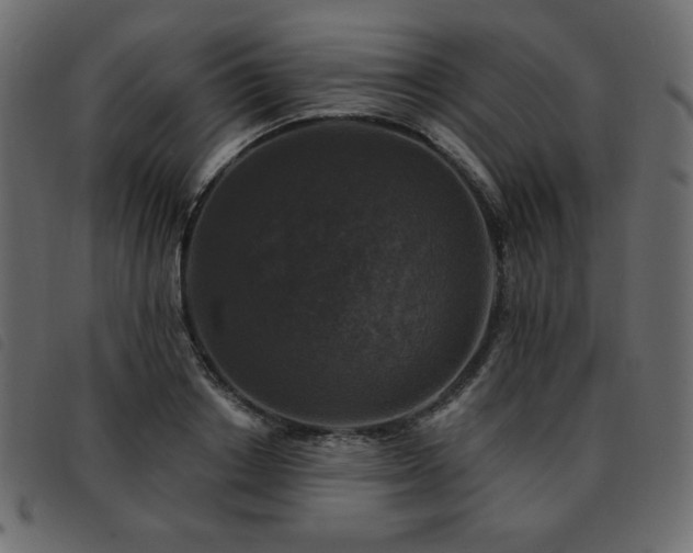 X0000093580842200710151143