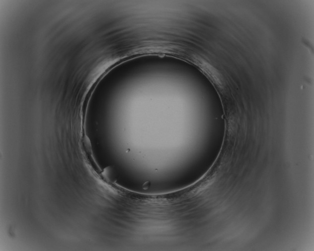 X0000093580844200710151143