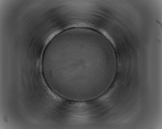 X0000093580845200710151143