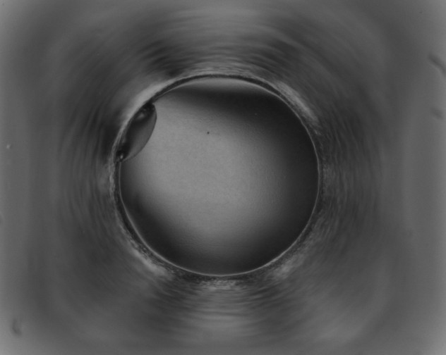 X0000093580846200710151143