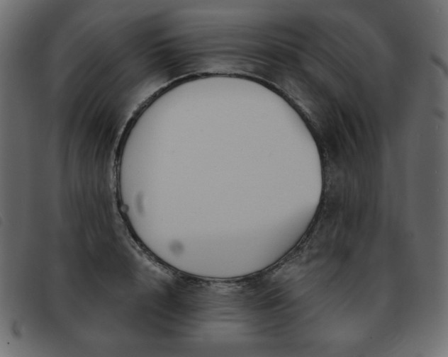 X0000093580848200710151143