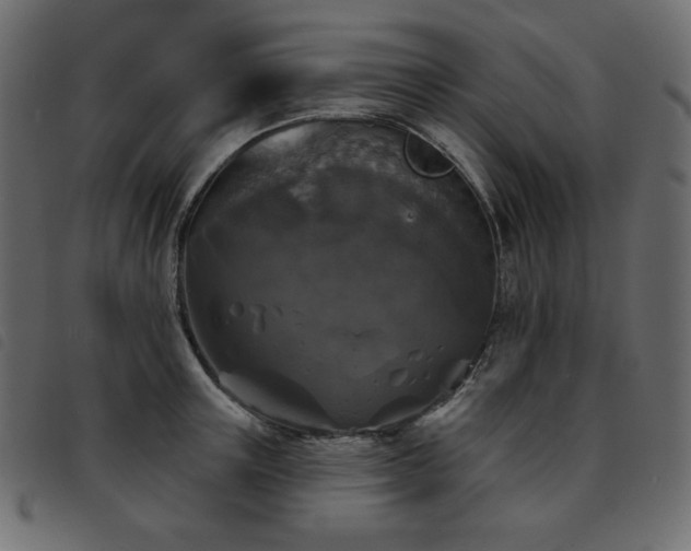 X0000093580851200710151144
