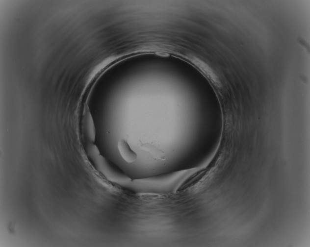 X0000093580854200710151144