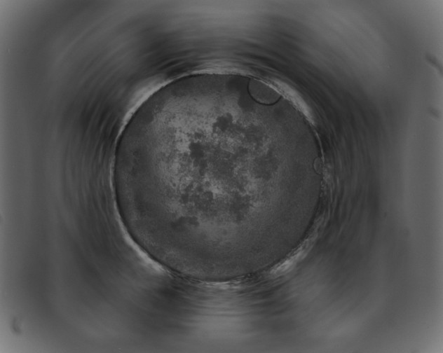 X0000093580855200710151144