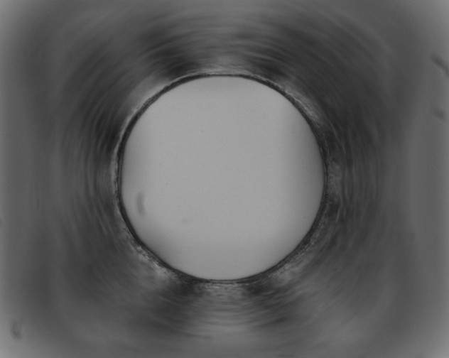 X0000093580856200710151144
