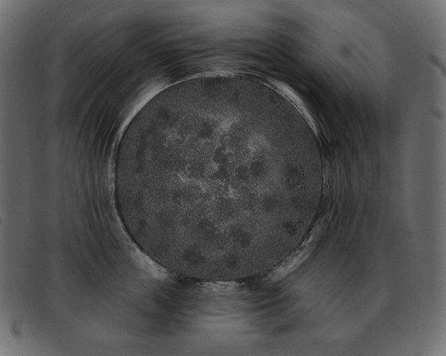 X0000093580859200710151144