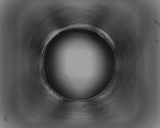 X0000093580860200710151144