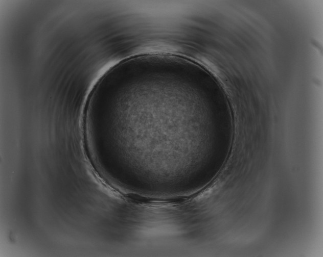 X0000093580864200710151144