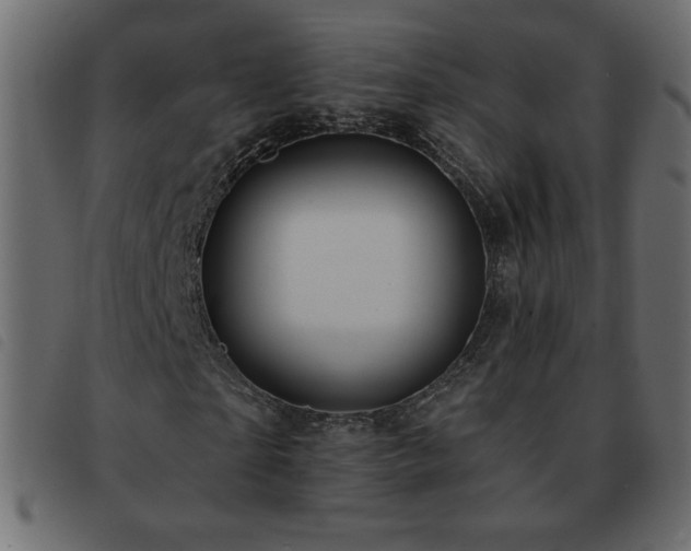 X0000093580865200710151143