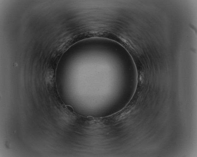X0000093580867200710151143