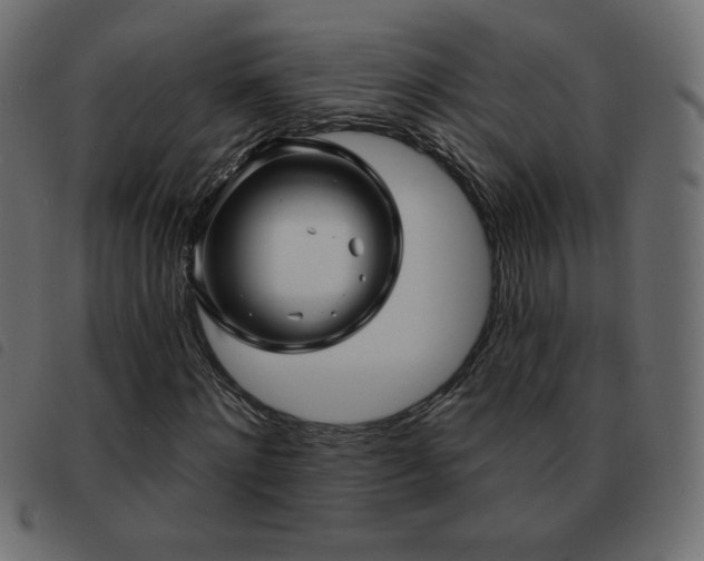 X0000093580868200710151143