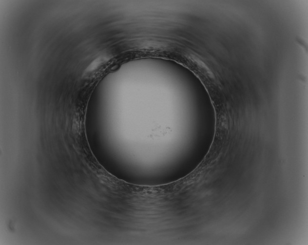X0000093580869200710151143