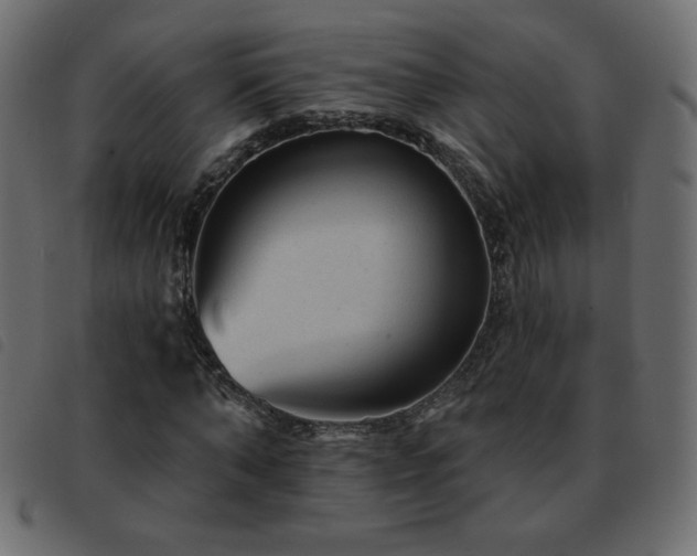 X0000093580870200710151143