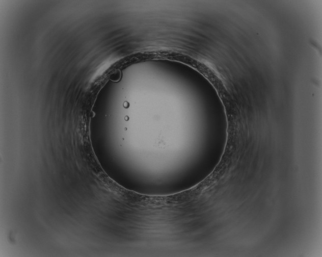 X0000093580871200710151143