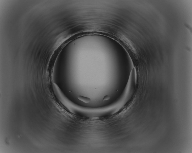 X0000093580876200710151143