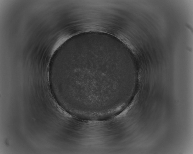 X0000093580877200710151143