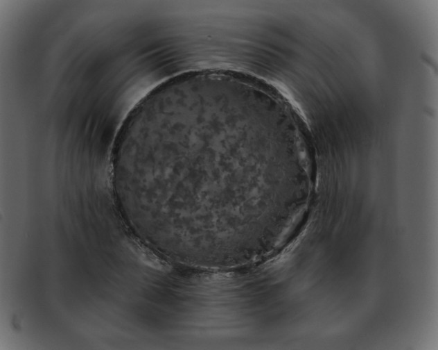 X0000093580879200710151143