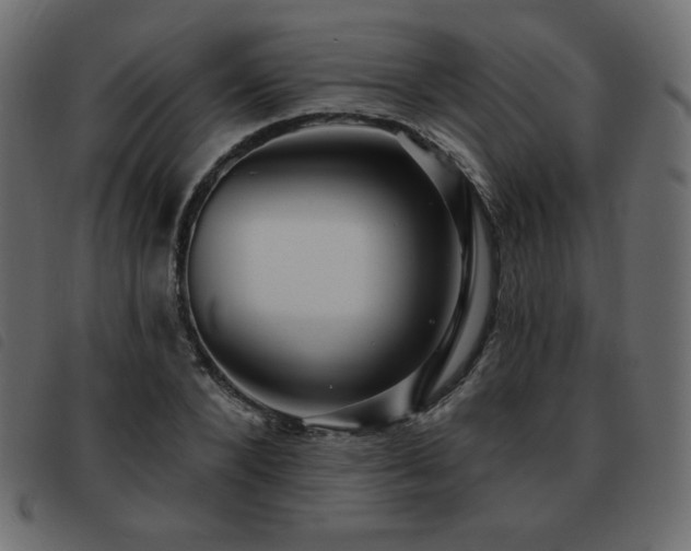X0000093580880200710151143