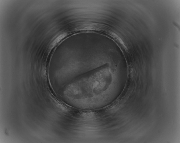 X0000093580882200710151143
