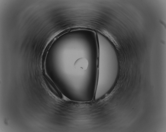 X0000093580884200710151143