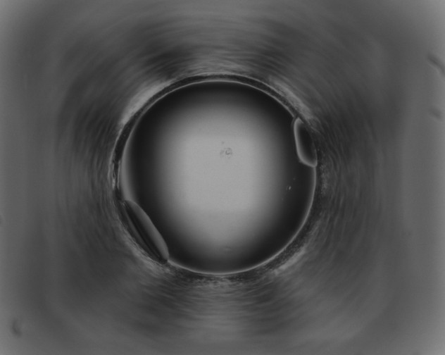 X0000093580885200710151143