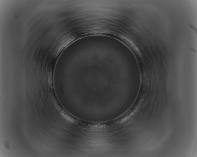X0000093580889200710151143