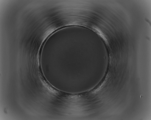 X0000093580892200710151143