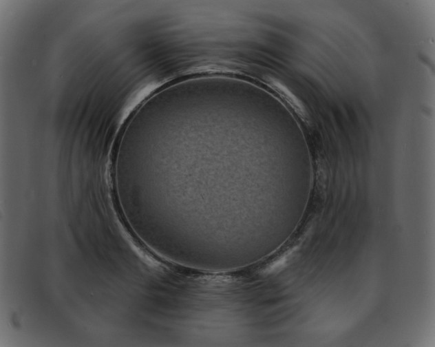 X0000093580893200710151143