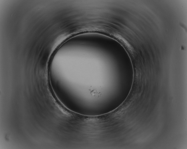 X0000093580894200710151143