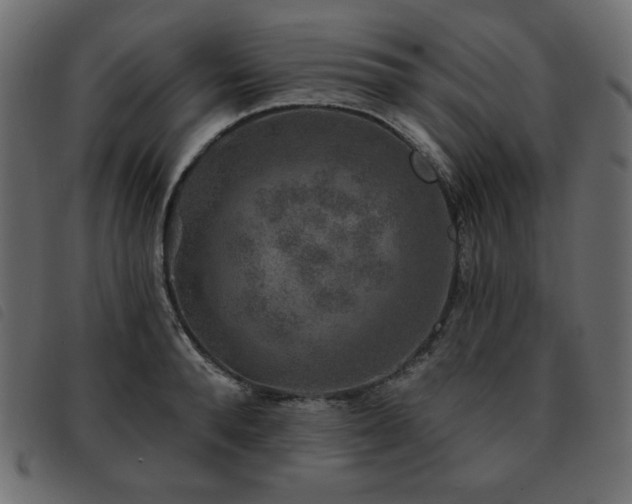 X0000093580896200710151143