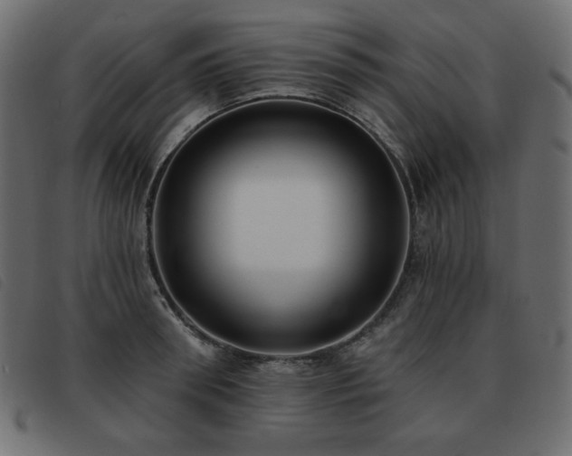 X0000093580898200710151143