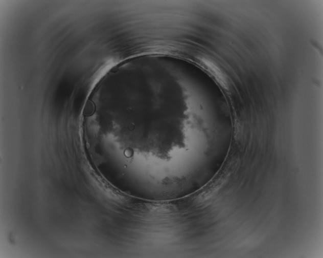 X0000093580899200710151143