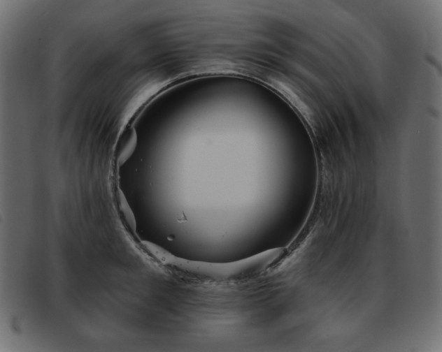X0000093580901200710151143
