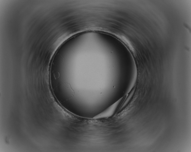 X0000093580903200710151143