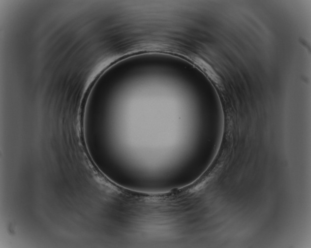 X0000093580904200710151143