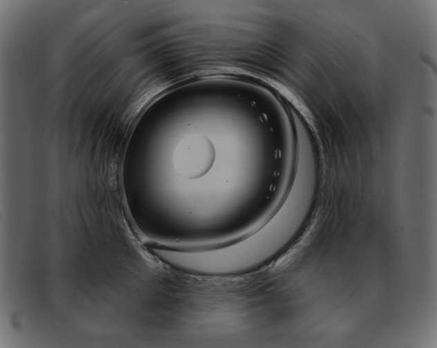 X0000093580905200710151143