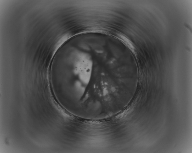 X0000093580907200710151142