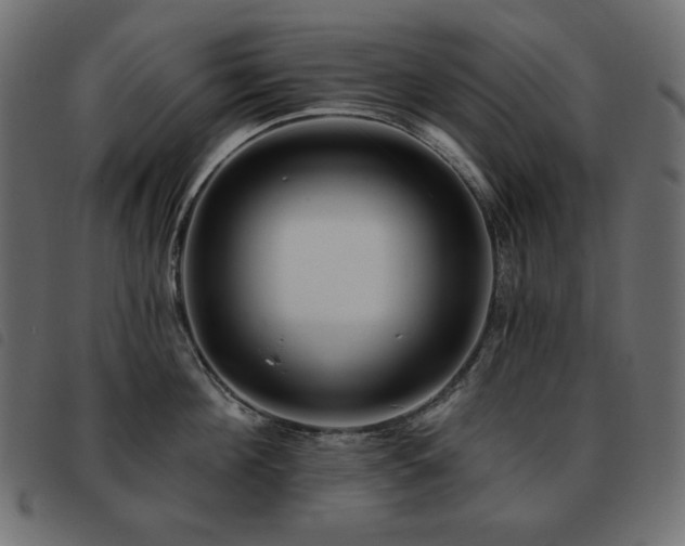 X0000093580908200710151142
