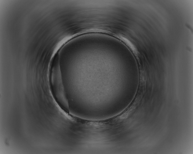 X0000093580910200710151142