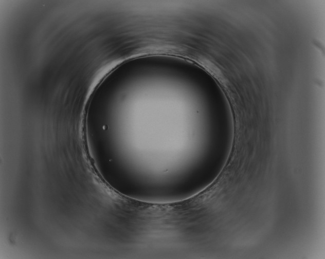 X0000093580912200710151142