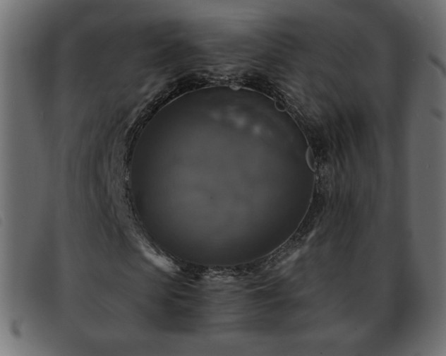 X0000093580913200710151142